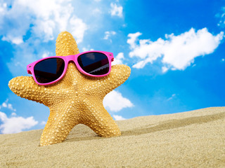 Cool starfish with sunglasses