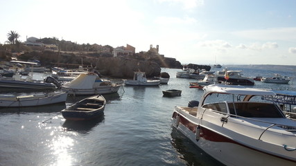 Fototapeta na wymiar Barcas en Tabarca