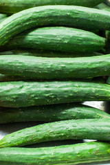 Fresh raw green row of cucumbers