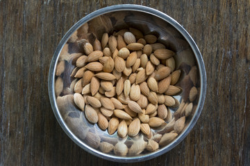 Seeds of the apricot