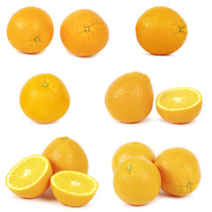 orange isolated on white background