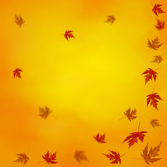 autumn background