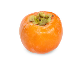 persimmon