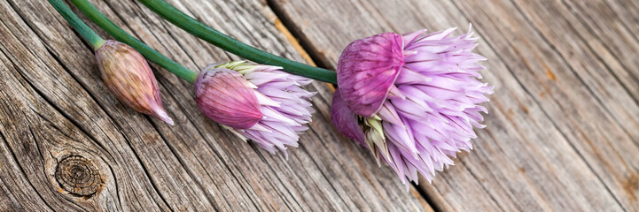 Blooming Chives On Wood