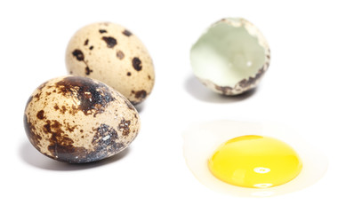 quail eggs