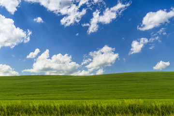 Landscape with a grass on hill and blue sky with clouds.