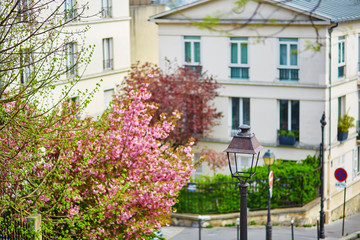Fototapeta na wymiar Beautiful Parisian street