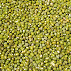 Green bean or mung bean background. Agriculture product, food