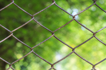 Fototapeta premium wire mesh steel with natural background