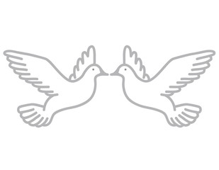 seagulls on a white background