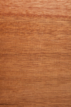 African Mahogany texture wood