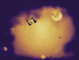Naklejka premium Night Butterflies