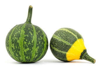 Raw pumpkins on white background