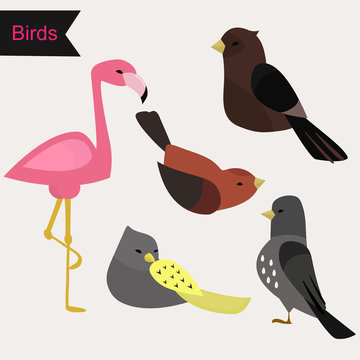 Cute vector birds set