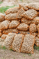 potatoes in the bags at farmers market