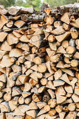 Dry firewood