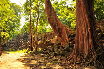Obraz premium Angkor Temple of Beng Mealea in Cambodia