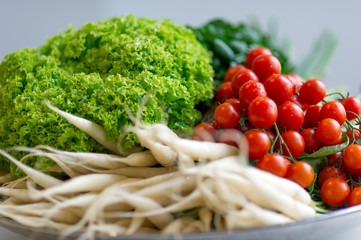 Bunter großer Gemüsekorb mit Tomaten, Salaten und Rettich.