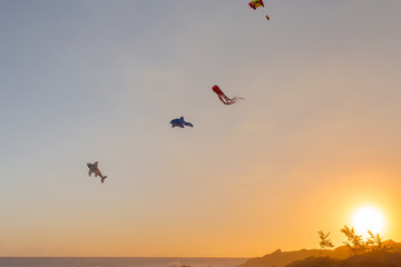 cerf-volants dans le ciel au coucher du soleil 