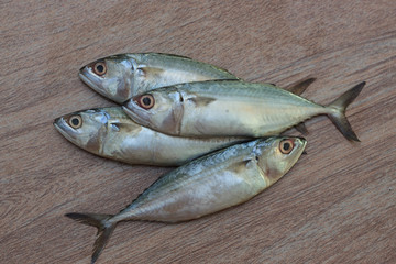 Fresh tuna ready for cooking