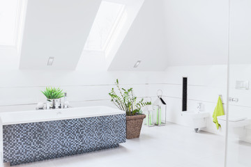 Spacious white bathroom