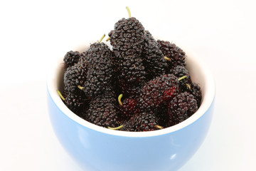mulberry isolated on white background.