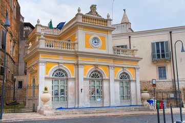 Fototapeta na wymiar Historical palace. Andria. Puglia. Italy. 