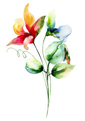 Fototapeta na wymiar Colorful flowers