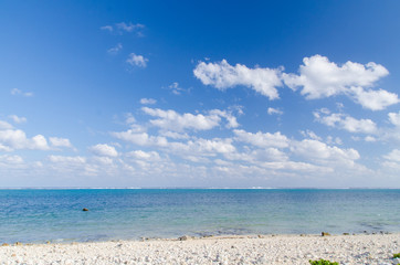 沖縄県　石垣島　白保海岸