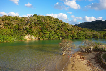 沖縄県　石垣島　吹通川