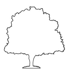 Linde als weiße Fotografik mit schwarzem Umriss