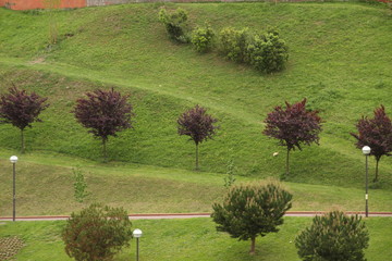 Bilbao