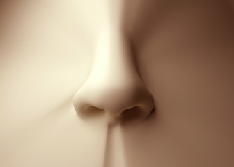 Human nose - 83699388