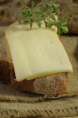 tartine de fromage 21052015