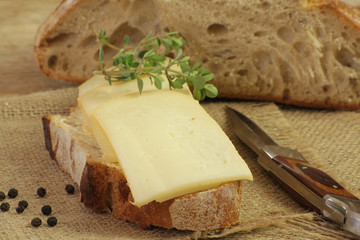 tartine de fromage 21052015