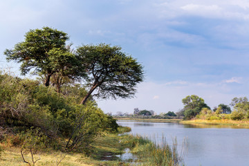 African landscape