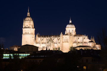 Fototapeta na wymiar Cathedral of Salamanca in midnight