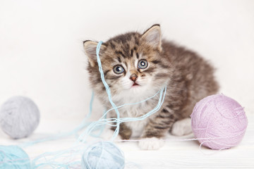 Fototapeta na wymiar pretty kitten playing with yarn ball