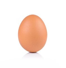 egg on white background