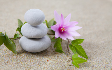 Fototapeta na wymiar galets zen en équilibre et fleur de lotus