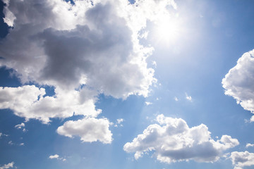sunny sky background. Nature composition.