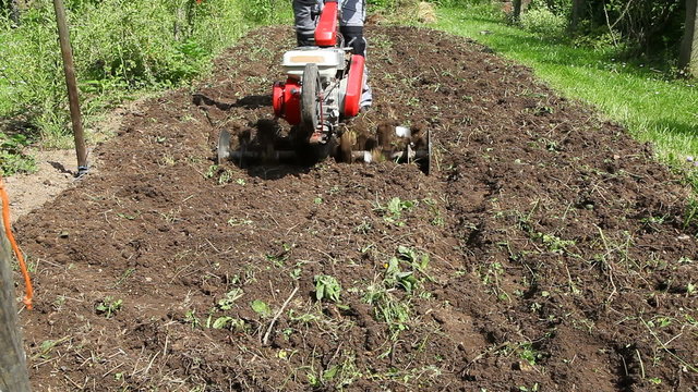 motoculteur potager