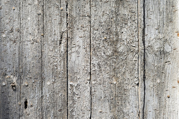Obraz premium Wood Background