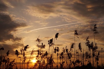 Sommerabend mit schöner Stimmung