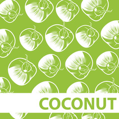 Set of Coconut Background Vector
