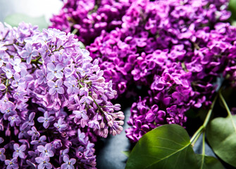 Beautiful lilac on office desk 