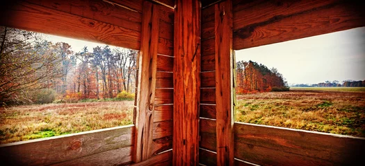 Foto op Plexiglas Interior of hunting tower in autumn season. © MaciejBledowski
