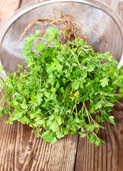 Organic parsley with roots in strainer