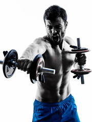 man exercising fitness weights exercises silhouette
