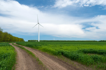 Fototapeta na wymiar Green field of wheat and wind turbines generating electricity
